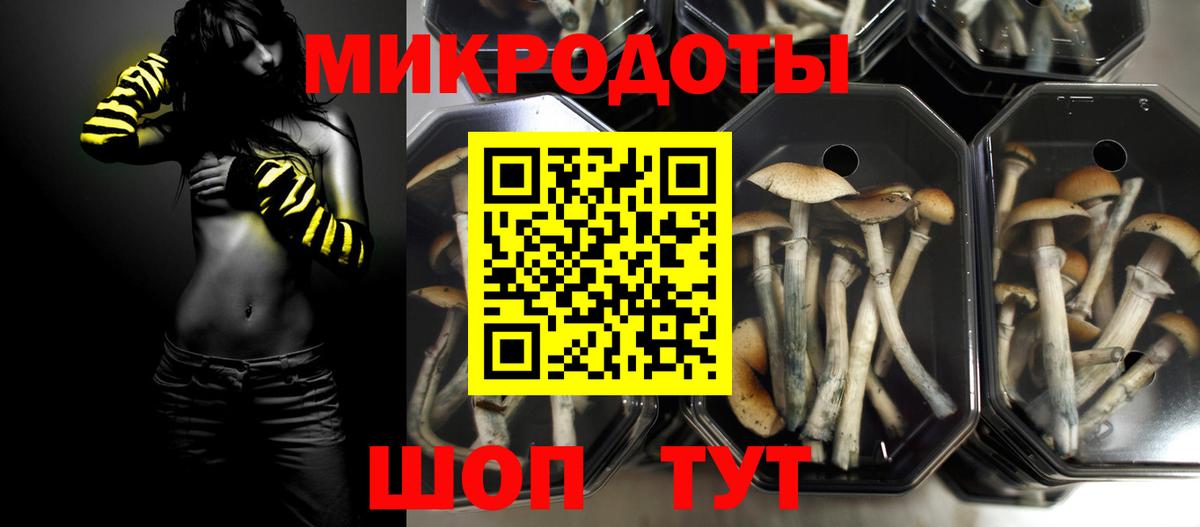 Галлюциногенные грибы мухоморы Миасс